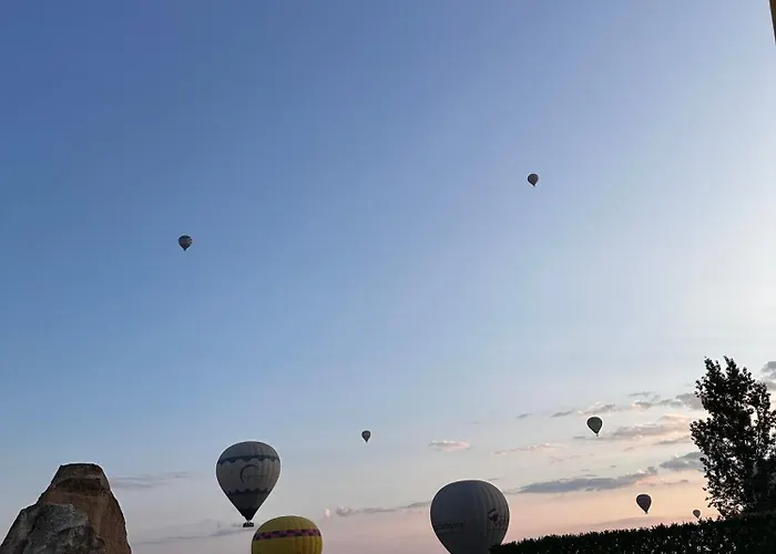 Unicorn Cave فندق 3*