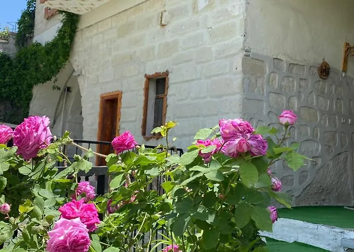 فندق Unicorn Cave نفسهير